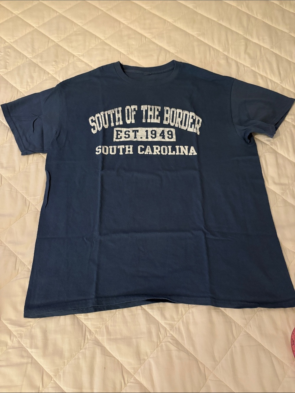 NWOT South of the Border South Carolina Graphic Tee - blue